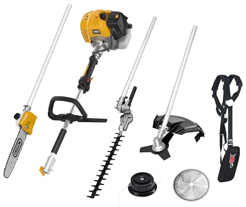 TEXAS Benzin Motorsense BCU52M 5in1 Profi Set...